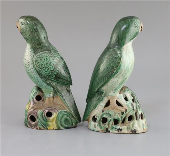 Two similar Chinese enamelled biscuit figures of parrots, Kangxi period, H. 21cm and 21.5cm